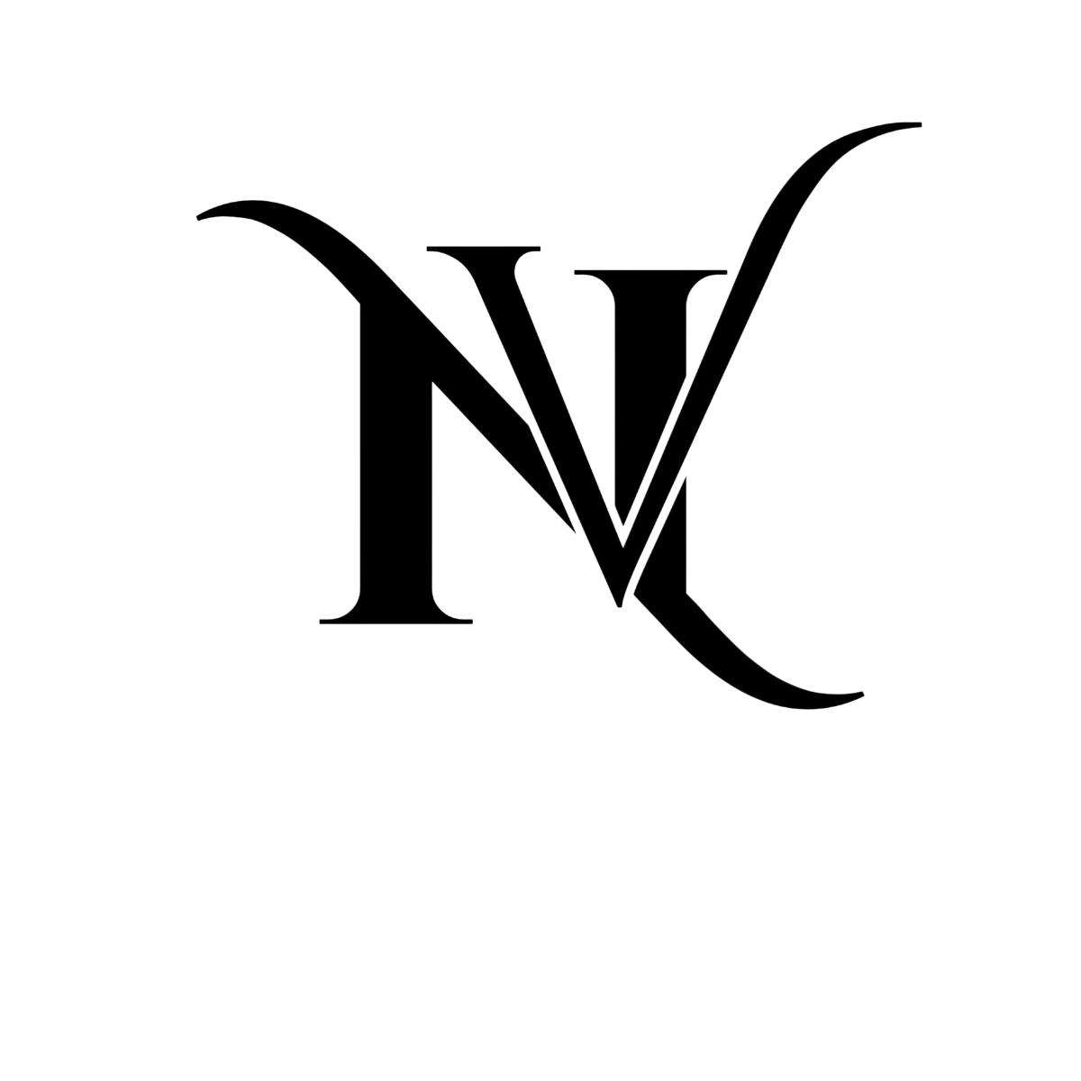 VIDE NOIR